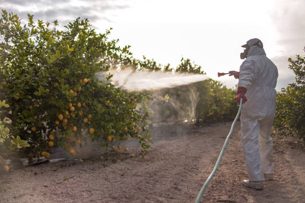 Best Pest Removal Services  in Heppner, OR