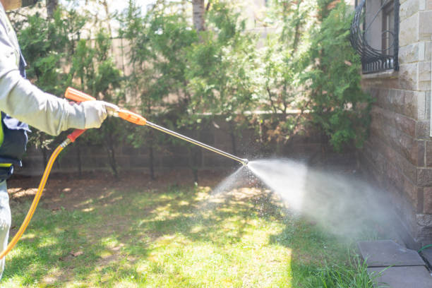 Best Wasp Removal Services  in Heppner, OR