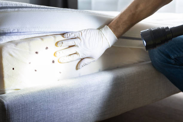 Professional Pest Control in Heppner, OR