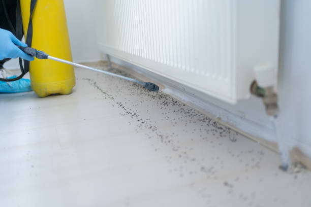 Best Rat Extermination Near Me  in Heppner, OR